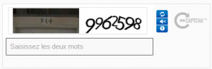 re-captcha