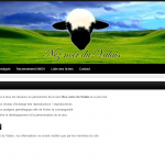 site neznoirduvalais.fr site neznoirduvalais.fr